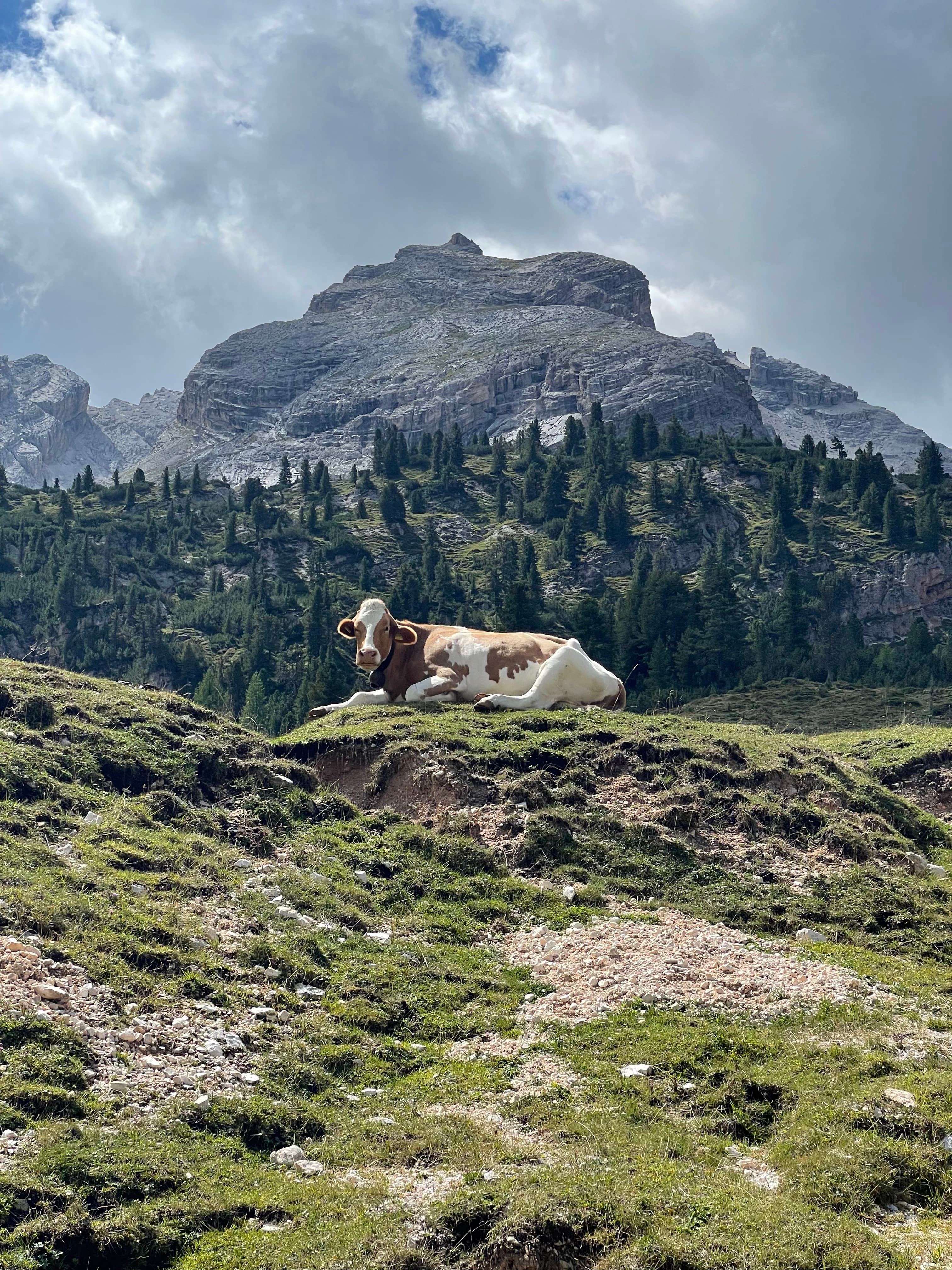 I Walked the Alta Via 1 in 6 Days. My Knees Have Filed a Complaint.