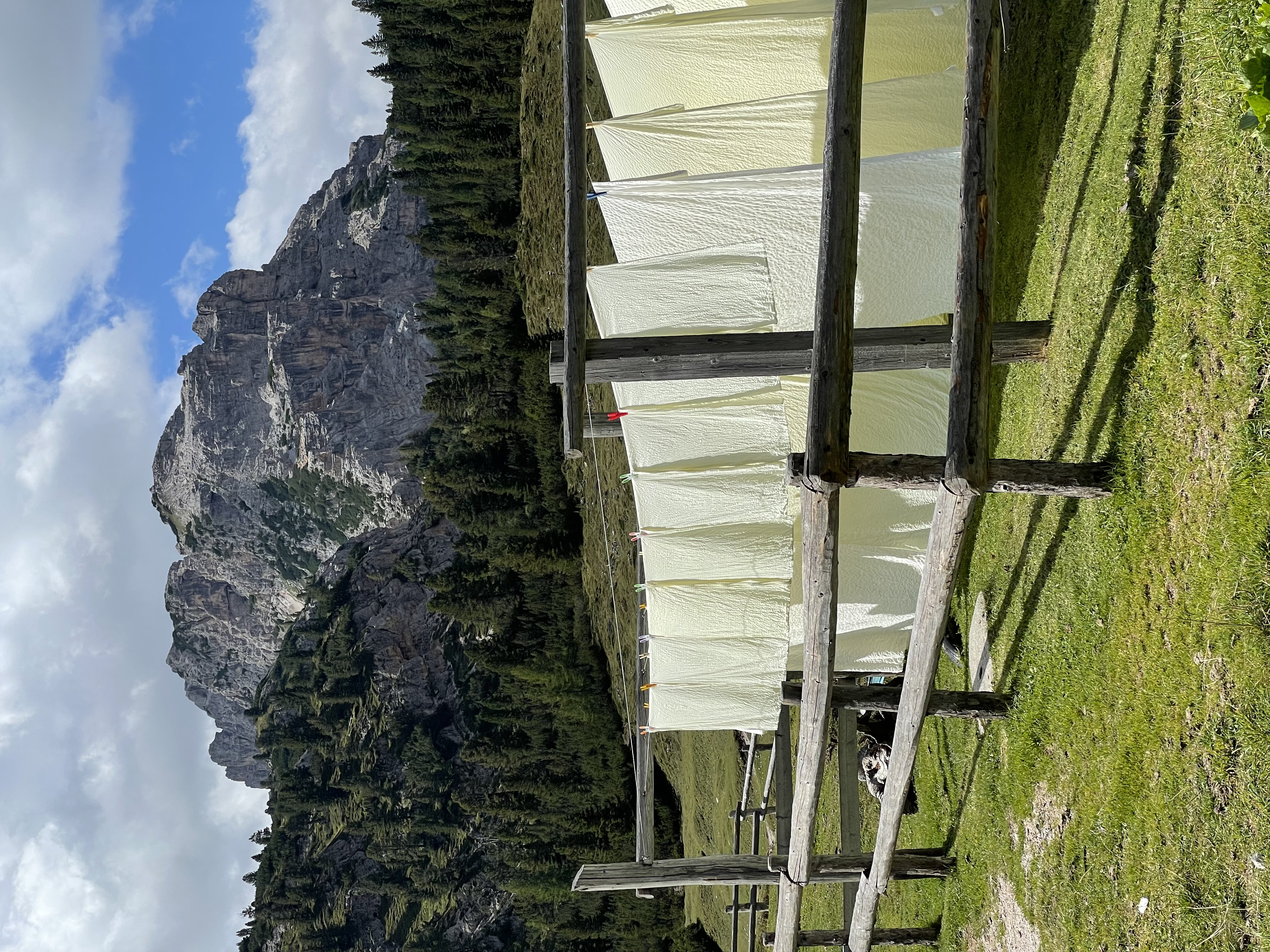 Near Rifugio Fodara Vedla